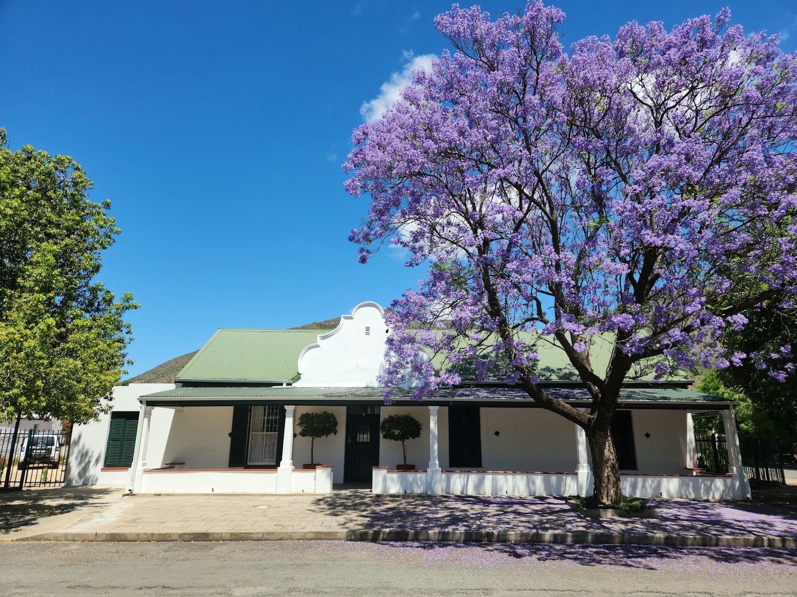 null-20241119-WA0004